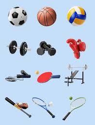 B-sports 斯诺德室内健身器材